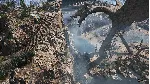 ✅ ❤ ️DRAGONKIN: THE BANISHED❤ ️XBOX SERIES X|S🔑 КЛЮЧ✅ 
