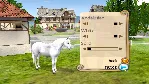 My Riding Stables: Life with Horses Steam КЛЮЧ GLOBAL - irongamers.ru