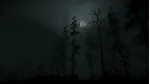 Withered Haven Steam Gift РФ/КЗ/др. Автодоставка - irongamers.ru