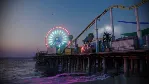 Ready or Not: Boiling Point STEAM GIFT AUTO RU+МИР - irongamers.ru