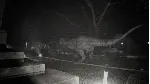 Unknown Tapes Выбор Региона Стим STEAM GIFT АВТО 24/7 ГАРАНТИЯ