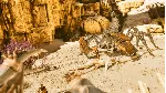 ARK: ASTRAEOS XBOX|XS+PC WIN КЛЮЧ - irongamers.ru