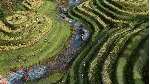 Age of Empires IV: Yue Fei's Legacy * RU/KZ/СНГ/TR/CN/AR/IN/BR * DLC * STEAM 🚀 АВТО