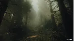 The Occultist - Deluxe Edition * STEAM RU*KZ*UA*СНГ🔥 