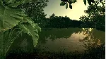 Ultimate Fishing Simulator - Amazon River DLC EU Steam КЛЮЧ - irongamers.ru