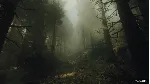 ✅ The Occultist Xbox Series X|S активация