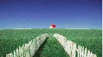 Dreamcore: Rabbit Hole АВТОДОСТАВКА STEAM РОССИЯ - irongamers.ru
