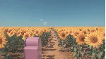 Dreamcore: Rabbit Hole✅ STEAM GIFT AUTO✅ RU+МИР