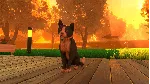 Copycat + ВЫБОР РЕГИОНА STEAM