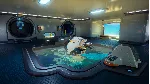 Subnautica 2 * STEAM RU*KZ*UA*СНГ🔥 