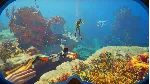 Subnautica 2 STEAM АВТОДОСТАВКА RU