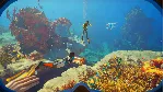 SUBNAUTICA 2 (GAME PREVIEW) XBOX|XS+PC WIN КЛЮЧ - irongamers.ru
