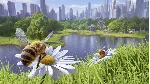 BEE SIMULATOR XBOX ONE|XS КЛЮЧ - irongamers.ru