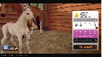Rival Stars Horse Racing Xbox One|X|S активация - irongamers.ru