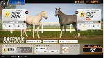 Rival Stars Horse Racing Xbox One|X|S активация - irongamers.ru
