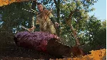 SCUM Woodland Hunter Pack DLC STEAM RU/KZ/UA/СНГ