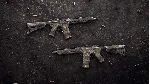 Insurgency: Sandstorm - Endurance Weapon Skin Set DLC