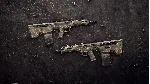 Insurgency: Sandstorm - Endurance Weapon Skin Set DLC