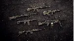 Insurgency: Sandstorm - Endurance Weapon Skin Set DLC