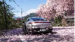 Комплект Premium Upgrade для Forza Horizon 6 Xbox - irongamers.ru