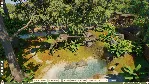 Planet Zoo 2 - STEAM GIFT RU/KZ/UA/BY