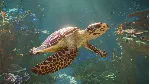 Planet Zoo 2 - STEAM GIFT RU/KZ/UA/BY