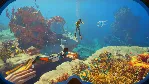 Subnautica 2 (Game Preview) Xbox Series X|S активация - irongamers.ru