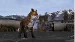 ✅ ❤ ️DAYZ FROSTLINE❤ ️XBOX ONE|XS+PC WIN🔑 КЛЮЧ✅ 