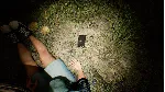 FORENSIC - M.E. Protocol Xbox Series X|S активация - irongamers.ru