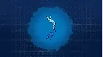 33 Immortals - Fierce Tides Pack DLC - STEAM RU - irongamers.ru
