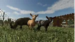 Farming Simulator 25 (Steam Gift) · РФ и весь мир · Автодоставка 24/7