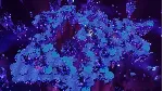 For The King II (Steam Gift) · РФ и весь мир · Автодоставка 24/7 - irongamers.ru