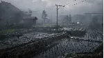 SILENT HILL f (Steam Gift) · Весь мир · Автодоставка 24/7 - irongamers.ru