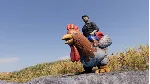 Chicken Costume XBOX SERIES S|X КЛЮЧ/КОД СРАЗУ