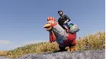Chicken Costume XBOX SERIES S|X КЛЮЧ/КОД СРАЗУ