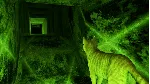 ✅ Little Strays 2: Souls of First Light Xbox активация