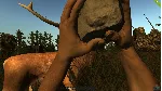 Rust