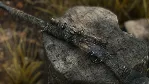 Hunt: Showdown 1896 - Twice a Renegade STEAM GIFT AUTO RU+МИР - irongamers.ru