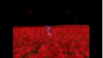 nophenia - STEAM GIFT РОССИЯ
