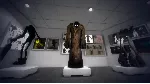 Among the Sleep - Enhanced Edition (Steam Gift) · РФ и весь мир