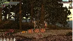Ritter & Rotwein АВТОДОСТАВКА STEAM GLOBAL МГНОВЕННО ЛИЦЕНЗИЯ