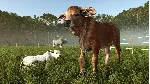 ✅ ❤ ️FARMING SIMULATOR 25: BEANS & ALPACAS EXPANSION❤ ️XBOX SERIES X|S🔑 КЛЮЧ✅ 