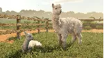 ✅ ❤ ️FARMING SIMULATOR 25: BEANS & ALPACAS EXPANSION❤ ️XBOX SERIES X|S🔑 КЛЮЧ✅ 