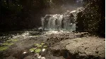 Sons Of The Forest - Steam Gift
