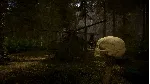 Sons Of The Forest - Steam Gift