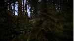 Sons Of The Forest - Steam Gift