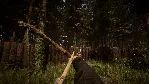 Sons Of The Forest - Steam Gift