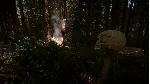 Sons Of The Forest - Steam Gift
