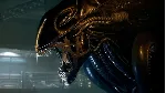 Alien: Rogue Incursion VR - Steam Gift