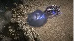 Path of Exile 2 - Lord of Ogham Supporter Pack - Steam Gift